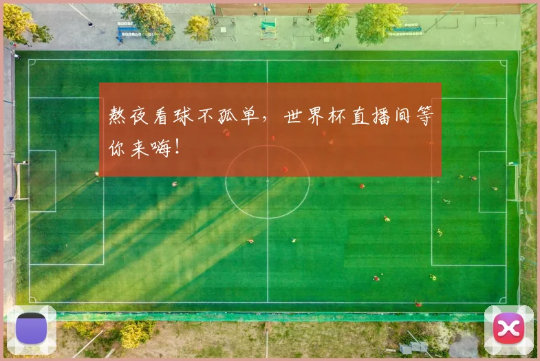 熬夜看球不孤单，世界杯直播间等你来嗨！