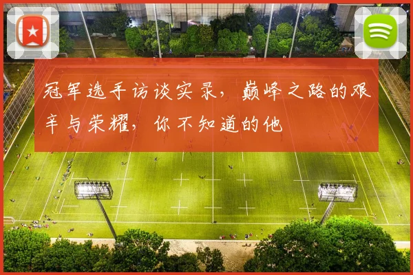 冠军选手访谈实录，巅峰之路的艰辛与荣耀，你不知道的他