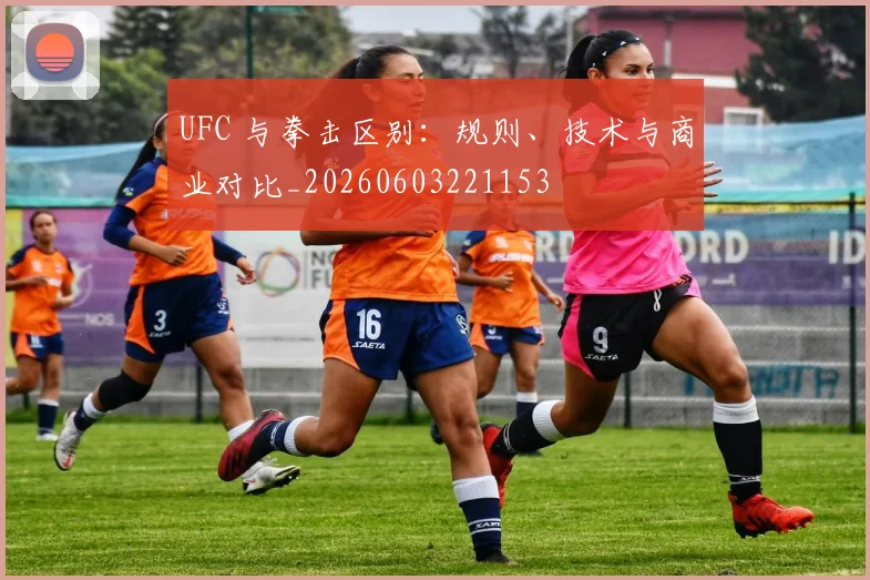 UFC 与拳击区别:规则、技术与商业对比_20260603221153