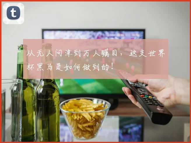 从无人问津到万人瞩目，这支世界杯黑马是如何做到的！